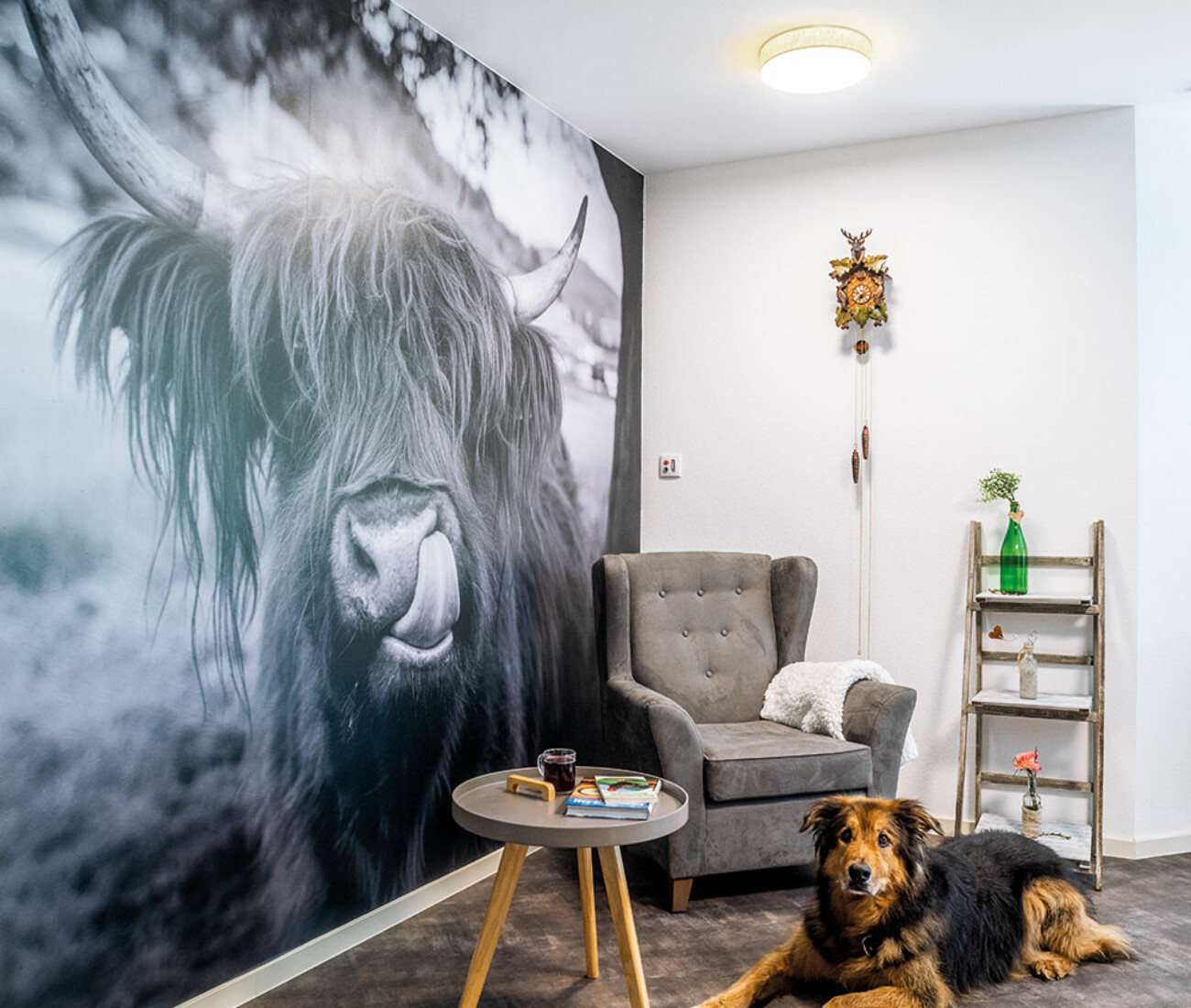 Fernsehzimmer im Bürgerheim Schwenningen mit Fernseher, bequemen Sesseln und gemütlicher Dekoration