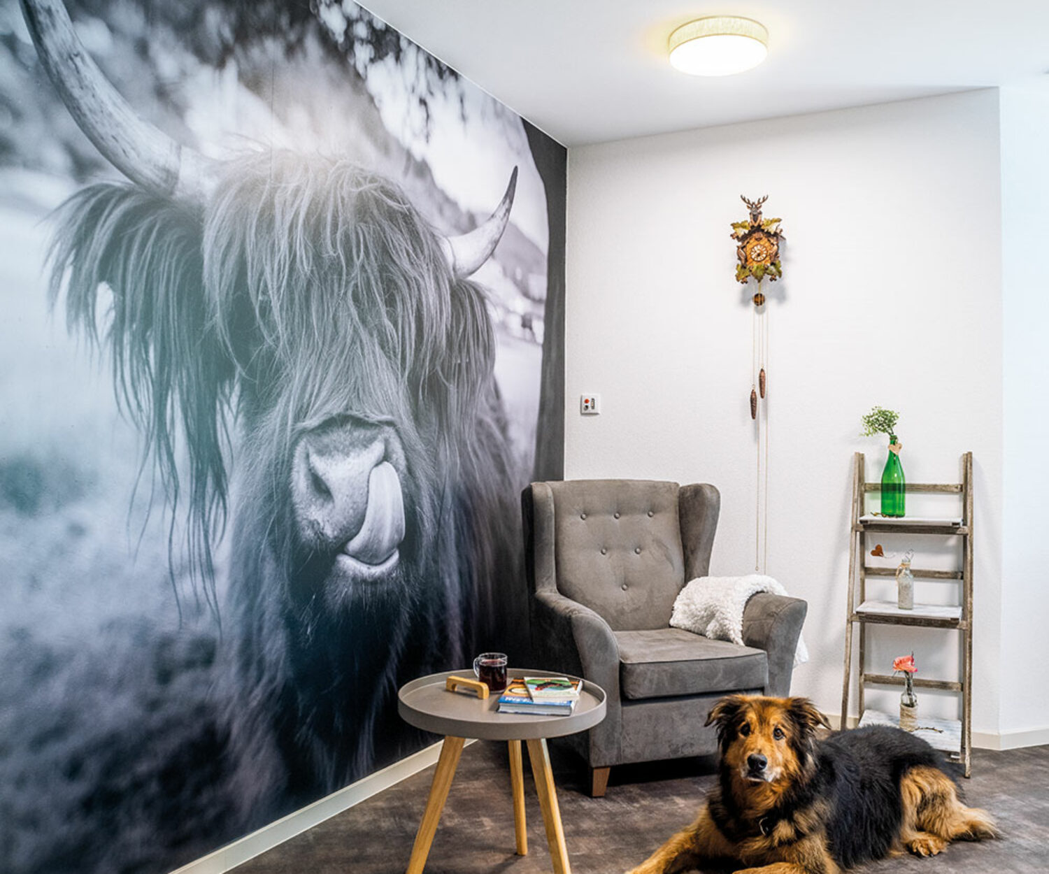 Fernsehzimmer im Bürgerheim Schwenningen mit Fernseher, bequemen Sesseln und gemütlicher Dekoration